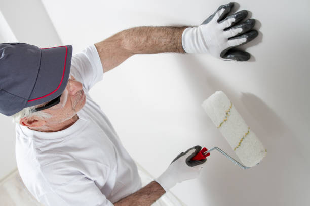 Best Drywall Sanding and Smoothing  in Canton, SD