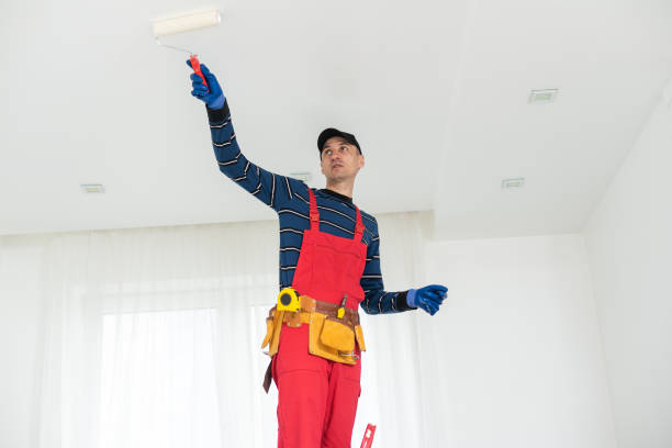 Best Drywall Removal and Disposal  in Canton, SD